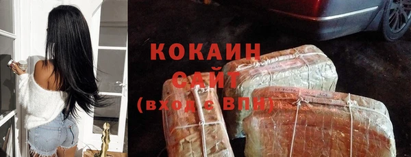 СК Алзамай